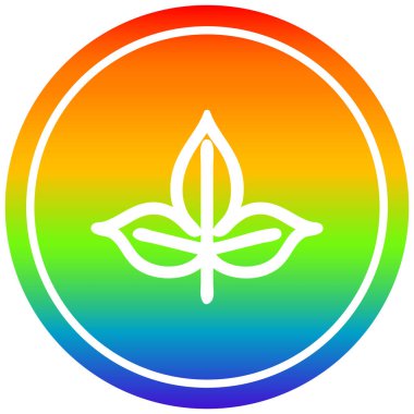 gökkuşağı spektrumunda doğal yaprak dairesel