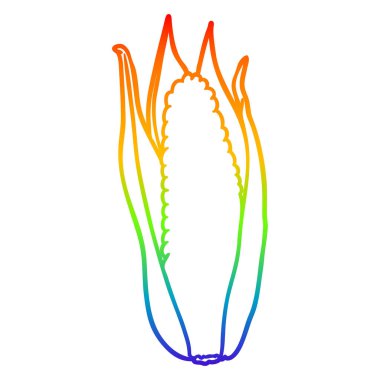 gökkuşağı gradyan çizgi çizim organik mısır