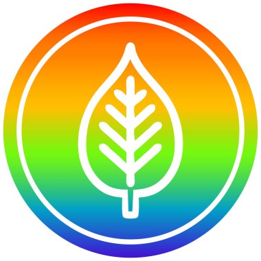 gökkuşağı spektrumunda doğal yaprak dairesel