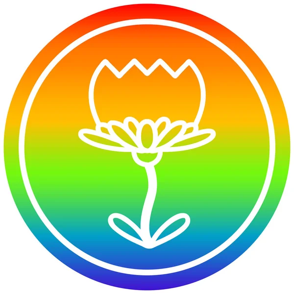 Fiore di loto circolare nello spettro arcobaleno — Vettoriale Stock