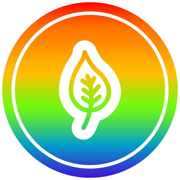 Natürliches Blatt kreisförmig im Regenbogenspektrum — Stockvektor