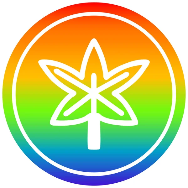 大麻叶在彩虹光谱中循环 — 图库矢量图片