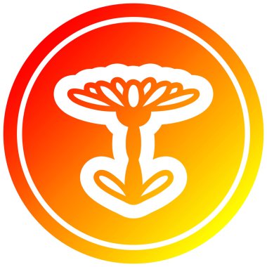 sıcak degrade spektrumda çiçeklenme çiçek dairesel