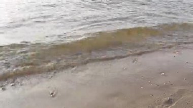 Plajda su suya adım ayak yürüyüş bacaklar.