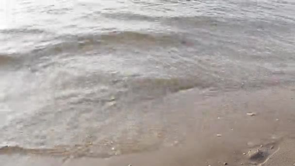 Ноги Ходять Воді Пляжі Ступають Воду — стокове відео