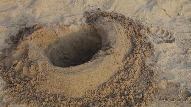 Человек Строит Песчаный Замок Реки — стоковое видео