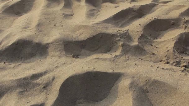 ビーチで金色の砂の上を歩いて足でステップの足の砂します — ストック動画