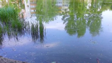 Göldeki dalgalanmalar