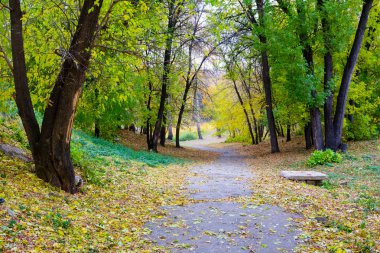 Sonbaharda Sernovodsk Köyü