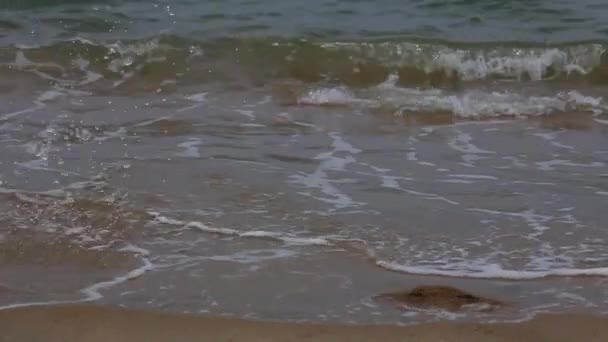 Man Går Grunt Vatten Vid Havet Sand Stranden — Stockvideo