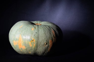 25_09_19_Balkabağı