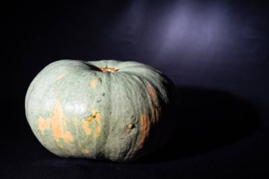 25_09_19_Balkabağı