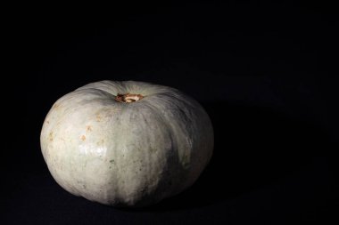 25_09_19_Balkabağı