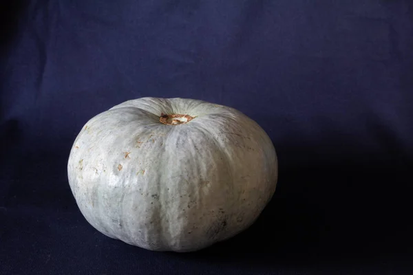 25_09_19_Balkabağı