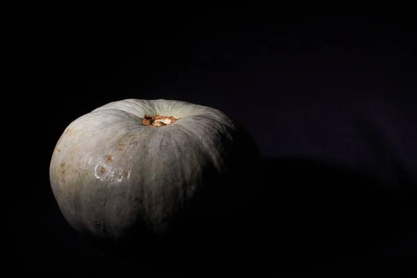 25_09_19_Pumpkin — Stockfoto