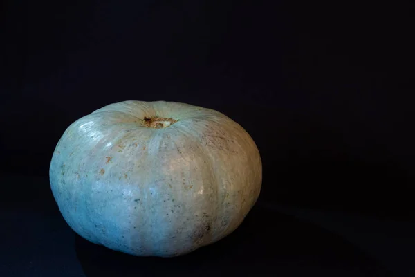 25 _ 09 _ 19 _ Zucca — Foto Stock