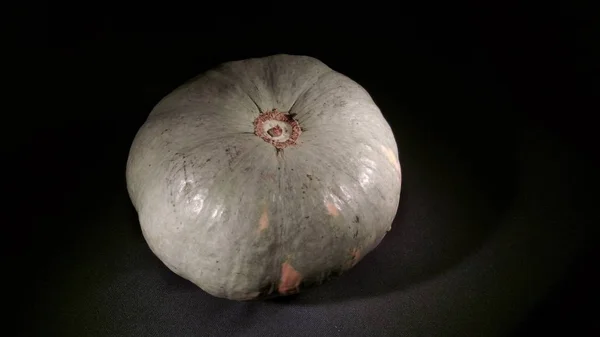 Citrouille Tachetée Ronde Mûre Sur Fond Noir — Photo