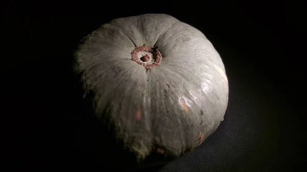 Citrouille Tachetée Ronde Mûre Sur Fond Noir — Photo