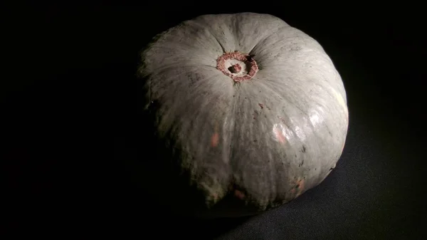 Citrouille Tachetée Ronde Mûre Sur Fond Noir — Photo