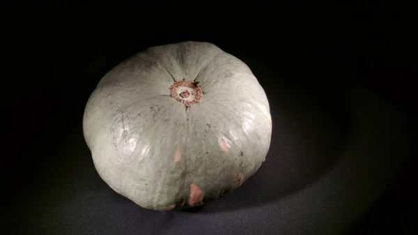 Citrouille Tachetée Ronde Mûre Sur Fond Noir — Photo