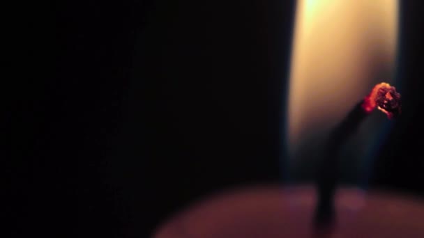 Single Burning Wax Candle Black Background — Stock Video