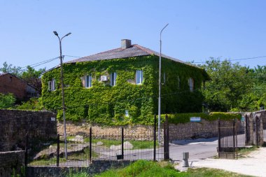 Şehirde sarmaşıkla kaplı bir ev.