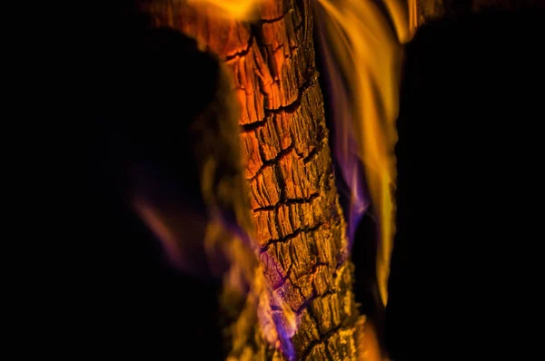 Eine Wunderschöne Landschaft Mit Einem Brennenden Baumstamm Feuer — Stockfoto