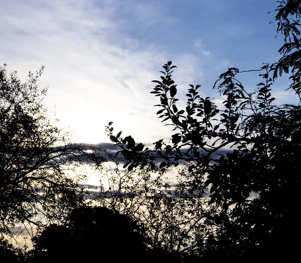 Paisagem Pôr Sol Verão Natureza — Fotografia de Stock