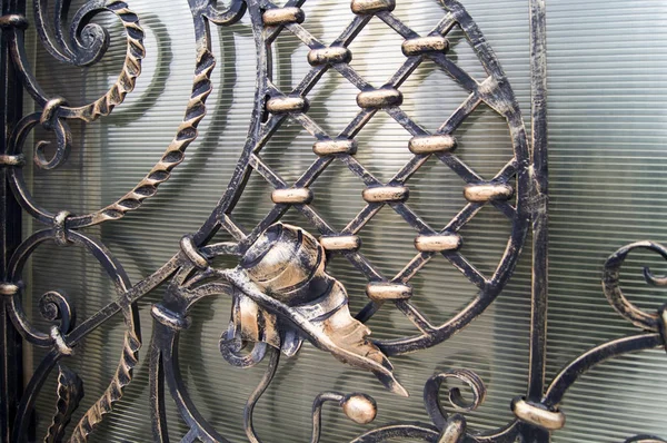 Dekoratif Unsurları Güzel Metal Kapılar — Stok fotoğraf