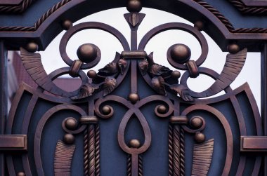 Metal kapı, güzel öğeleri soyunma dövme