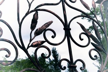 Dekoratif unsurları güzel Dövme demir kapıları