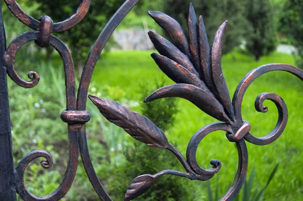 Beautiful decorative elements of wrought iron fence