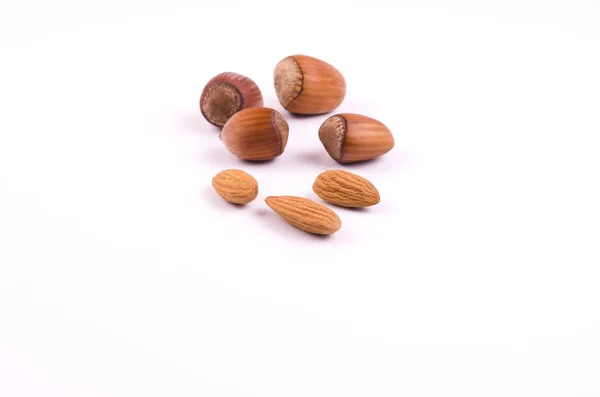 Hazelnut Almond Nuts Isolated White Background — Stock Photo, Image