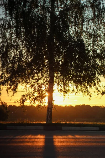 Alvorada Manhã Profunda Bonita Com Destaques Nos Raios Alaranjados Sol — Fotografia de Stock