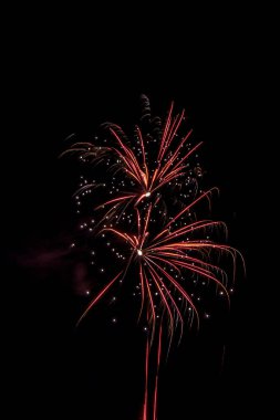 kalabalık şenlikli multi renk fireworks yalıtılmış zemin gece siyah gökyüzünün üzerine yaz kampında şehir dışında