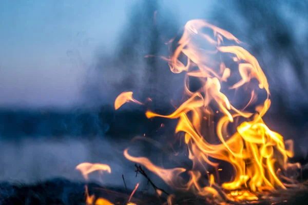 Flames Fire Burning Herb Evening Field Turning Coals Ashes Smoke — Stock Photo, Image