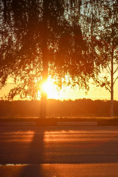 Alvorada Manhã Profunda Bonita Com Destaques Nos Raios Alaranjados Sol — Fotografia de Stock