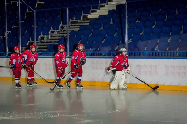 Rusia Yaroslavl Julio 2017 Grupo Personas Involucradas Juego Hockey Palacio — Foto de Stock