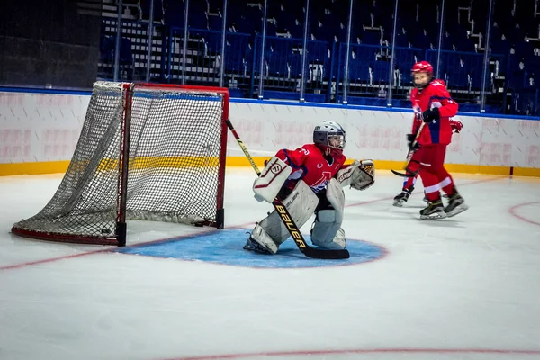 Russia Yaroslavl July 2017 Group People Involved Hockey Game Sports — Stock Photo, Image