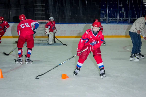 Rusia Yaroslavl Julio 2017 Grupo Personas Involucradas Juego Hockey Palacio — Foto de Stock