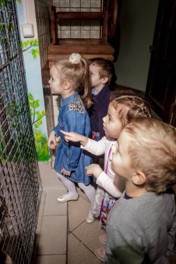 Rusya, Yaroslavl - 03 Şubat 2017: mutlu çocuk doğum günü kutlaması, grup tarzı giyinmiş eski Rus peri masalı animatör kızla yarışmalar ve oyunlar büyük odada kiler ve soba ile.