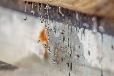 Yakın çekim bahar güneş ışığı gün büyük makro artış Caddesi üzerinde bırakır. Yumuşak ve seçici odak.