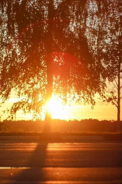 Alvorada Manhã Profunda Bonita Com Destaques Nos Raios Alaranjados Sol — Fotografia de Stock