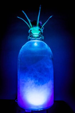 Sanat stüdyo aydınlatma ile temiz su ve renk mürekkep boya ile bir bitki ile şeffaf bir vazo bir kadeh. Bilimsel laboratuvar deneylerinde kavramı.