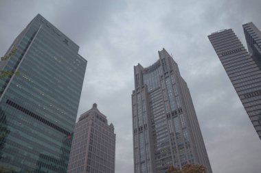 Shanghai. Çin. Sreet ticaret. Yol. Binalar. Ağaçlar. Karşıdan karşıya. Meyve. bilgi noktası. 