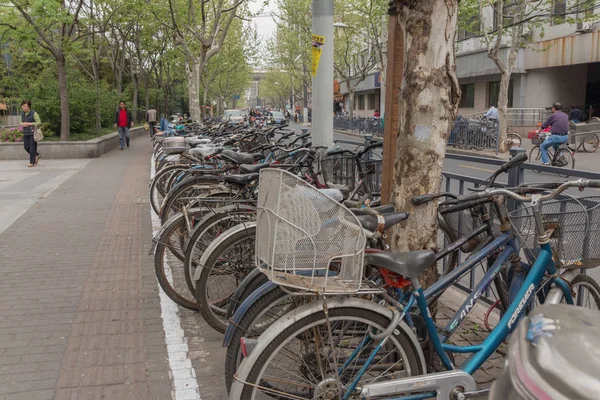 Shanhai Chiny Parking Dla Rowerów Drogi Drzewo Chodnik — Zdjęcie stockowe