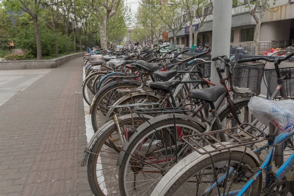 Shanhai Chiny Parking Dla Rowerów Drogi Drzewo Chodnik — Zdjęcie stockowe