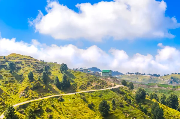 步农场生长美丽的绿色小麦拍摄在印度北部的蓝天和白云 西姆拉是印度最受欢迎的小山站之一 — 图库照片