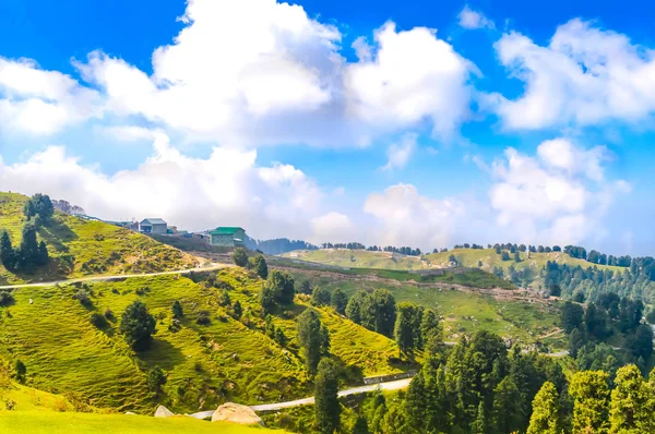 Paso Granja Cultivo Hermoso Trigo Verde Disparó Contra Cielo Azul — Foto de Stock