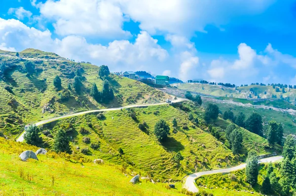 Étape Ferme Belle Grenaille Blé Vert Contre Ciel Bleu Des — Photo